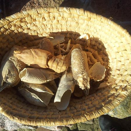Hosteria Na Mazurach Dabrowno  Bagian luar foto